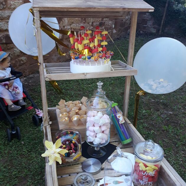Image du Wedding Planner pauline monbrun