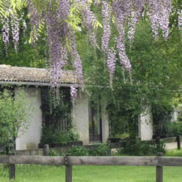Image du Wedding Planner Eléonore Bessiere