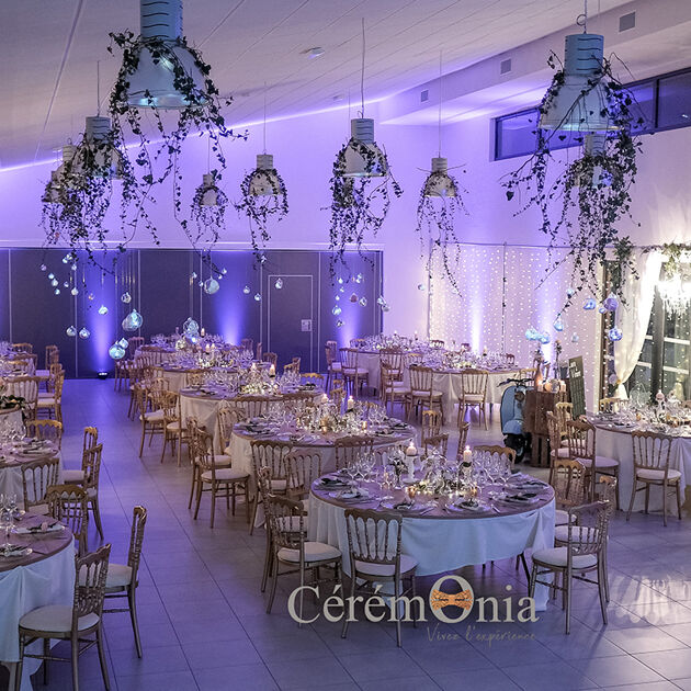 Image du Wedding Planner Sonja Renda