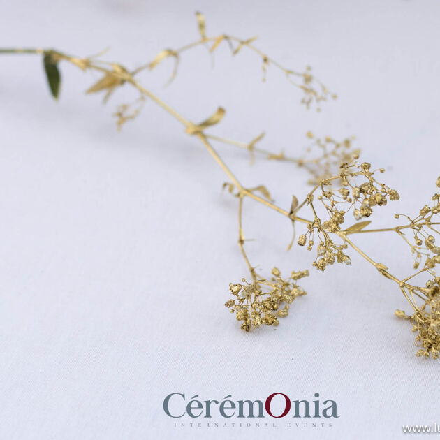 Image du Wedding Planner Sonja Renda