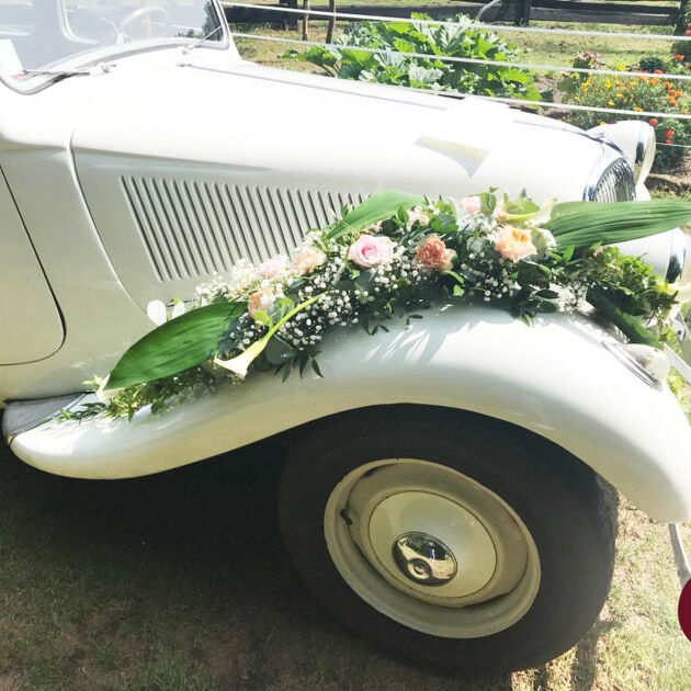 Image du Wedding Planner Sonja Renda