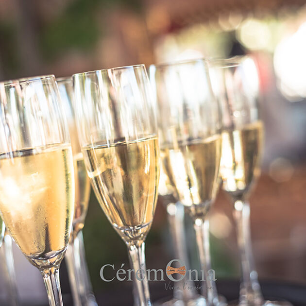 Image du Wedding Planner Sonja Renda