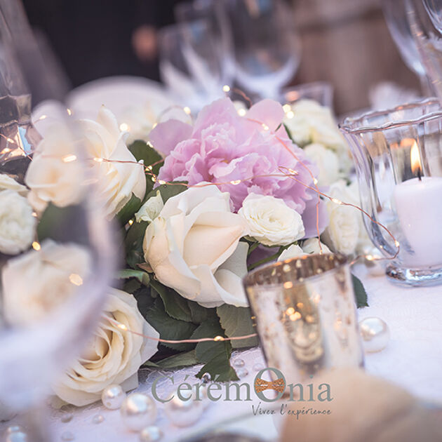 Image du Wedding Planner Sonja Renda