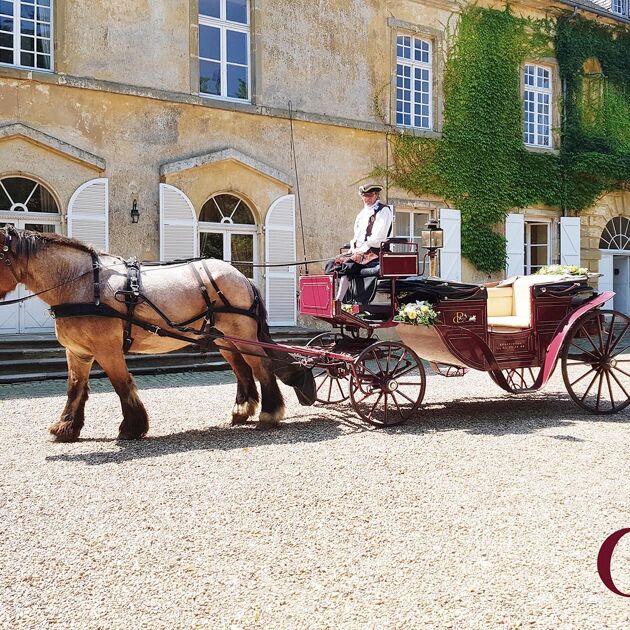 Image du Wedding Planner Sonja Renda