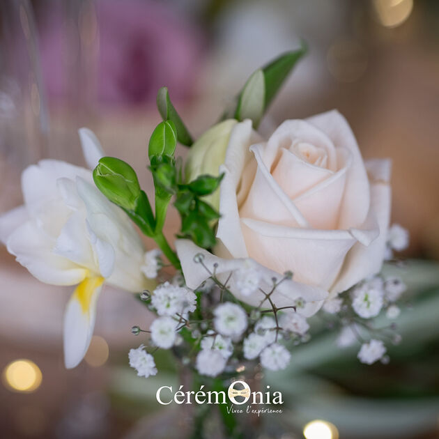 Image du Wedding Planner Sonja Renda