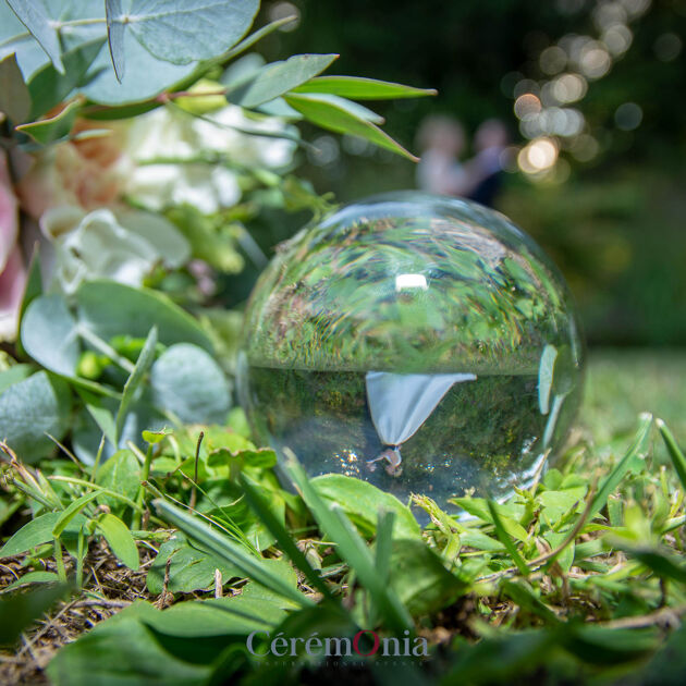 Image du Wedding Planner Sonja Renda