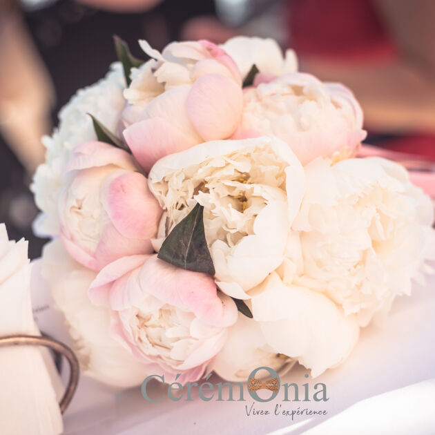 Image du Wedding Planner Sonja Renda