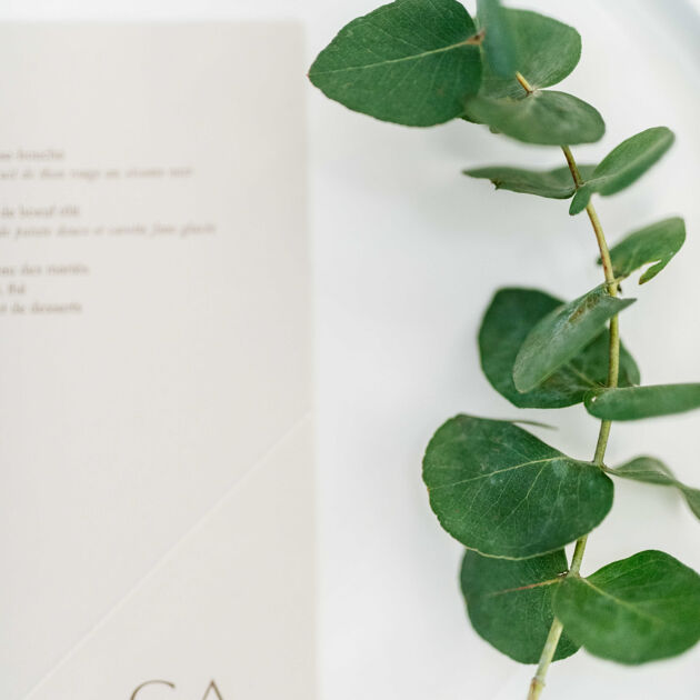 Image du Wedding Planner Coton Champagne