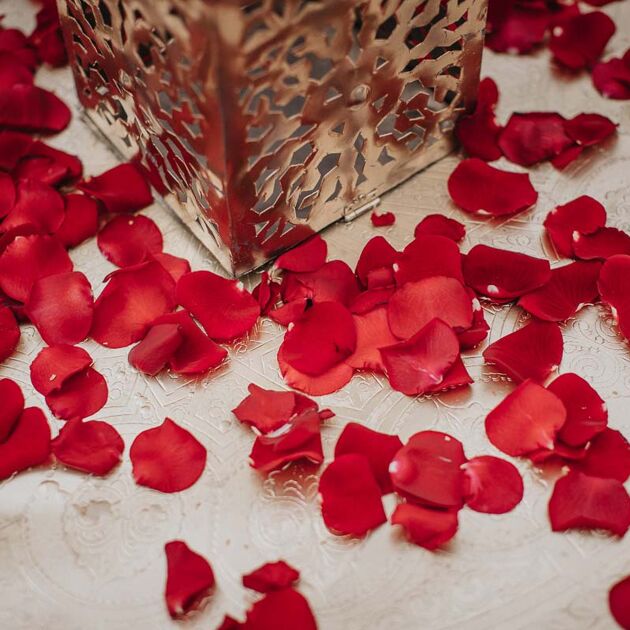Image du Wedding Planner Première Plume