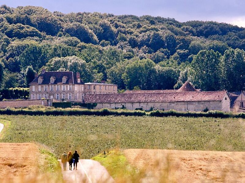 Chateau d'Hazeville